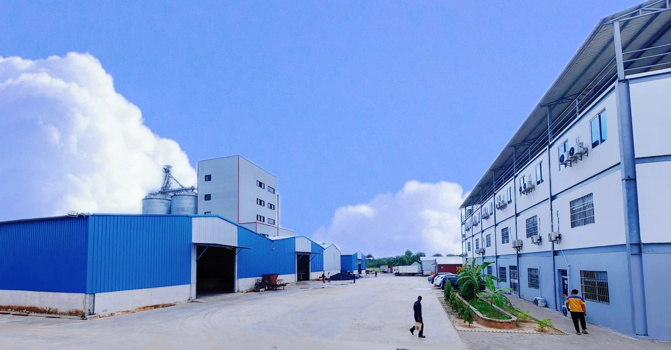 Backbone Tanzania agricultural and livestock value chain