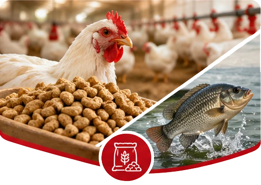 Backbone poultry and fish feed products